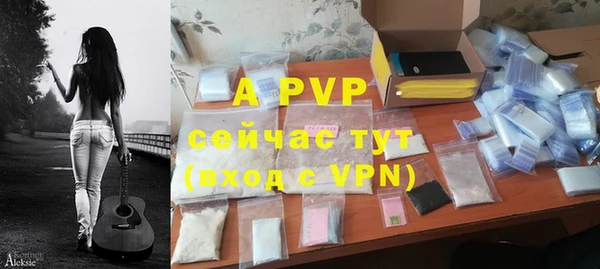 спайс Богданович