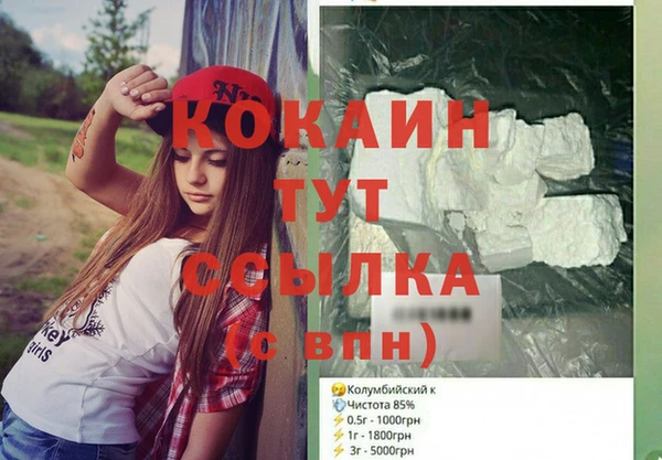 спайс Богданович