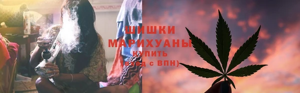 спайс Богданович