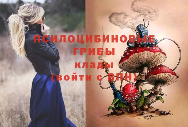 метадон Богородицк
