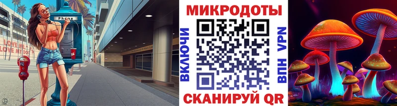 где можно купить   Мостовской  Галлюциногенные грибы GOLDEN TEACHER 